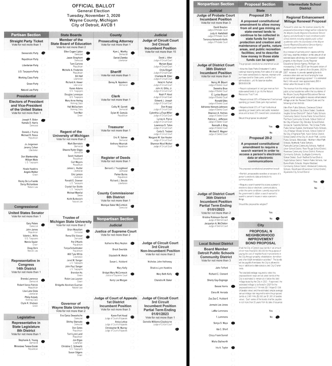 Primary-style BMD ballot example 1